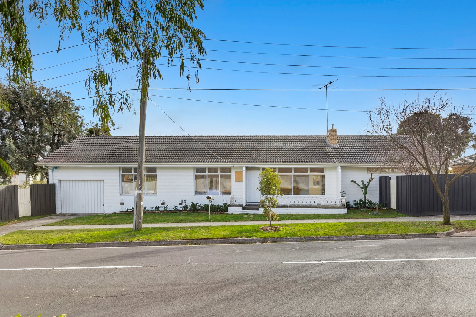Gallery: 21 Billing Street