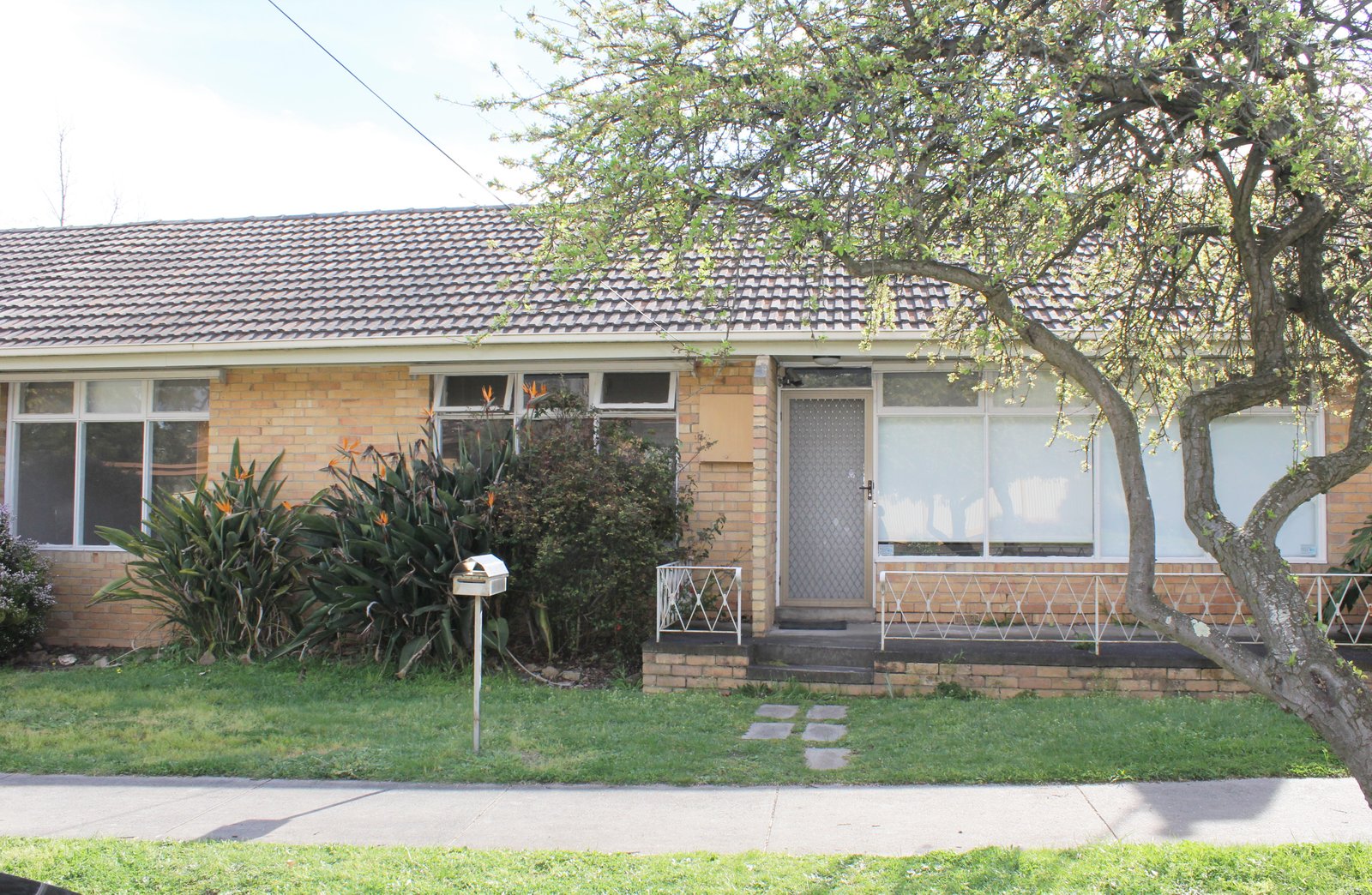 Photos: 21 Billing Street
