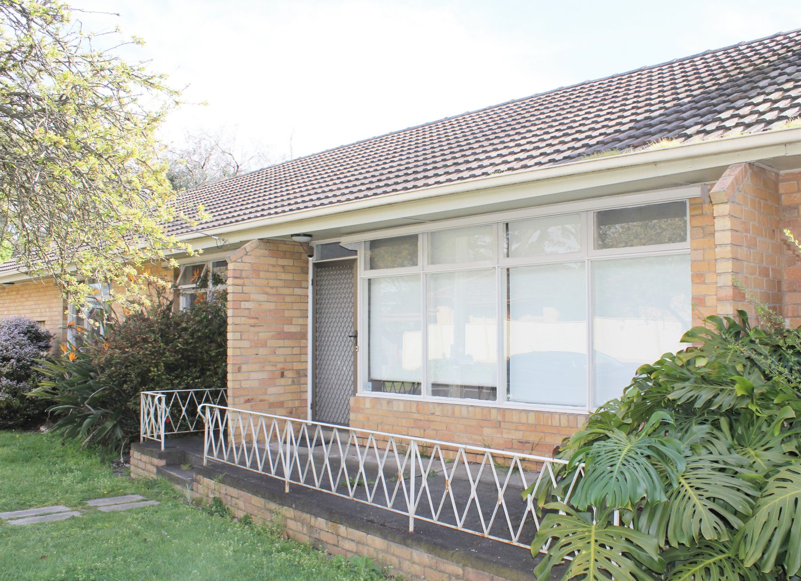 Gallery: 21 Billing Street