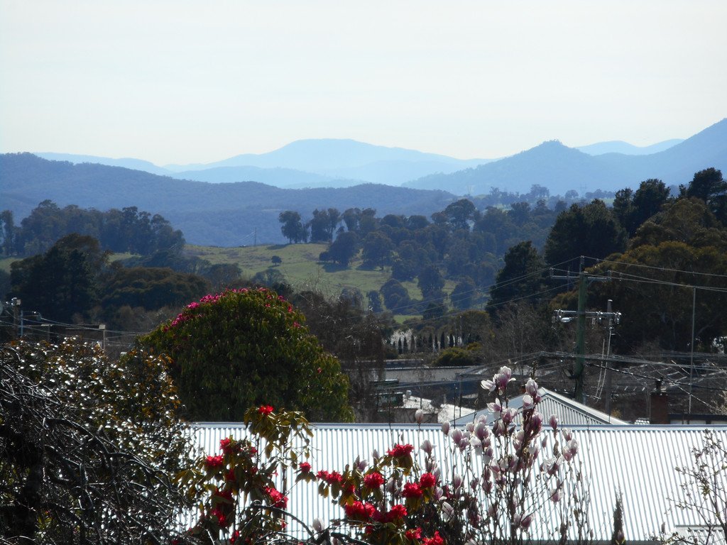 21 Birch Street BATLOW 6