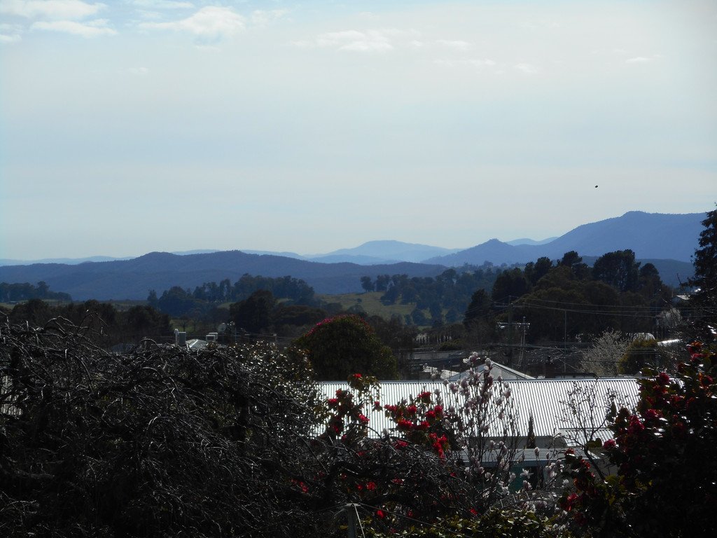 21 Birch Street BATLOW 21