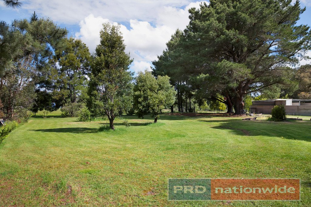 21 Briardale Avenue ENFIELD 12