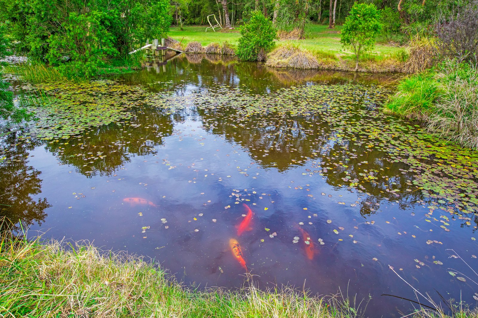 21 Brooks Street KURRI KURRI 5