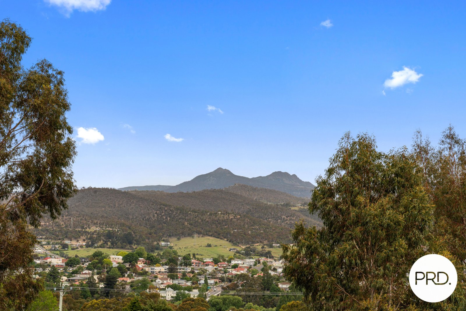 21 Carter Court NEW NORFOLK 22