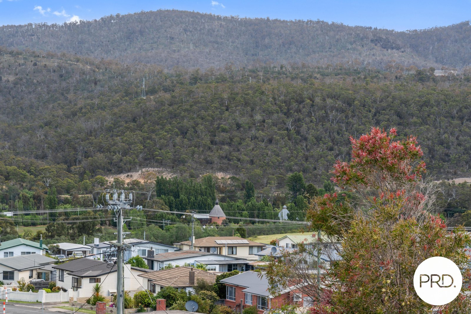 21 Carter Court NEW NORFOLK 24