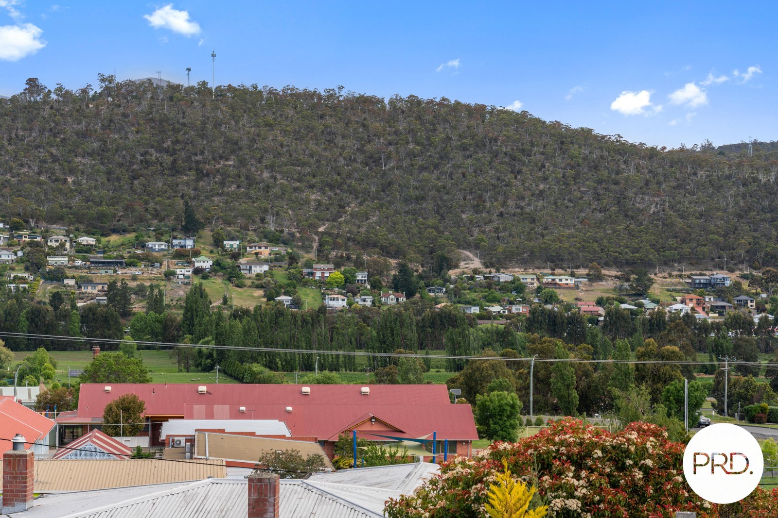 21 Carter Court NEW NORFOLK 25