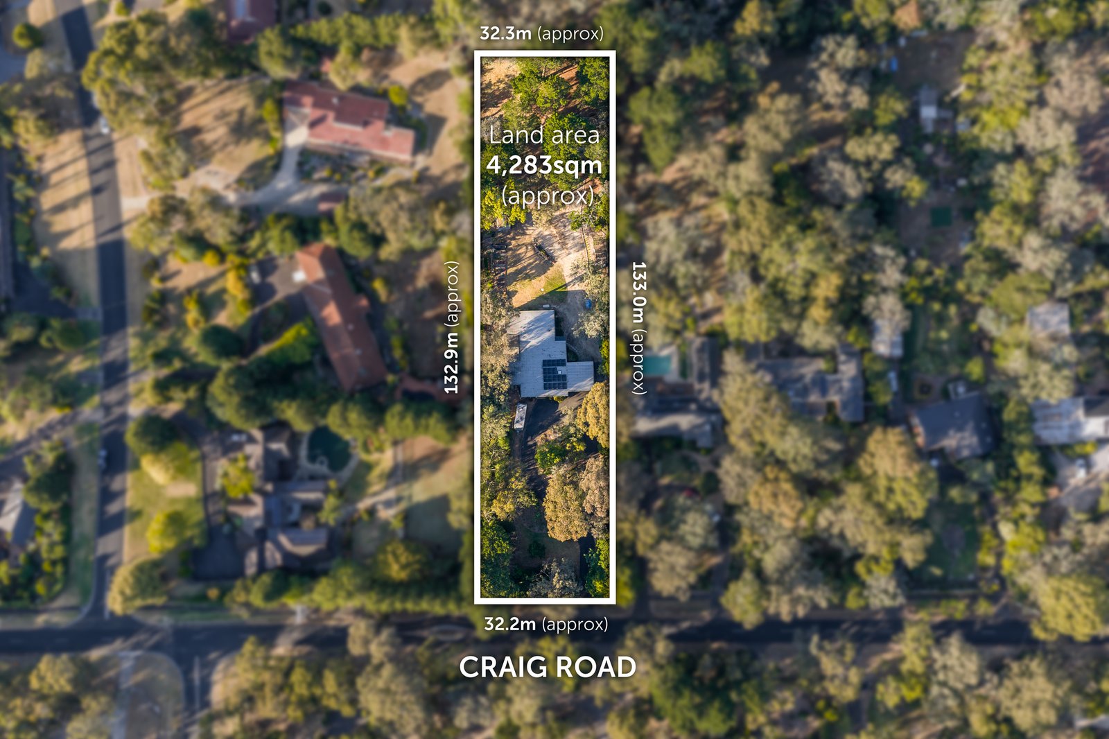 Gallery: 21 Craig Road