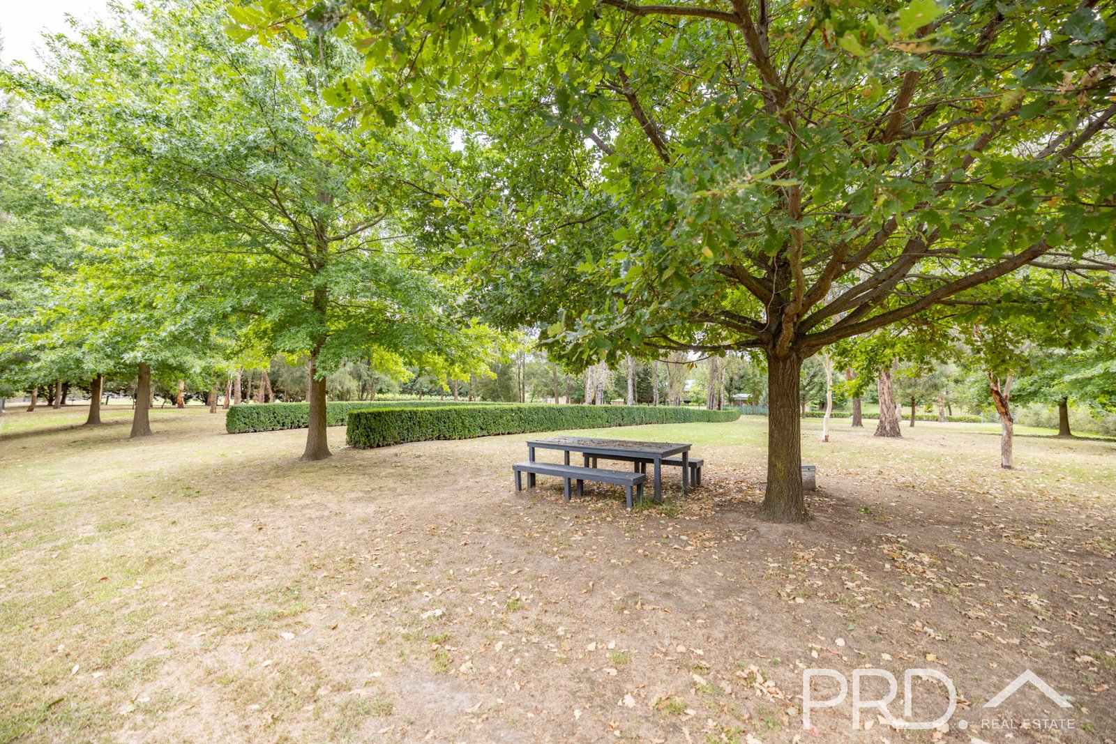 21 Cromwell Street ADELONG 23