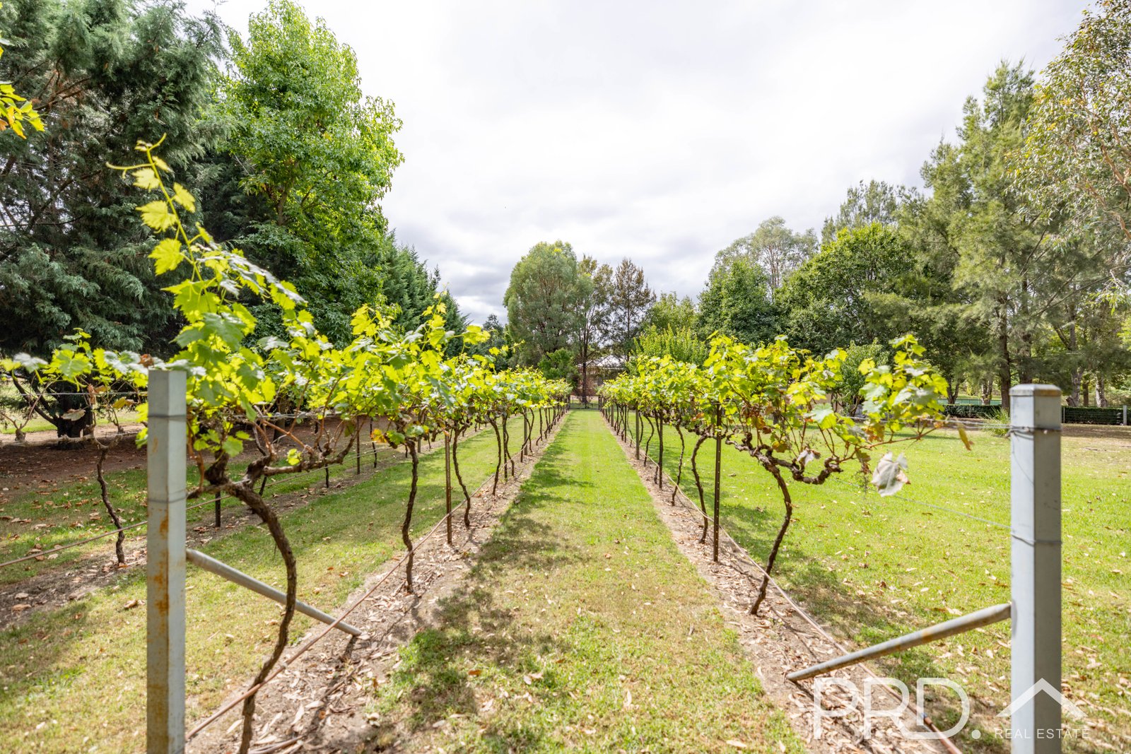 21 Cromwell Street ADELONG 24