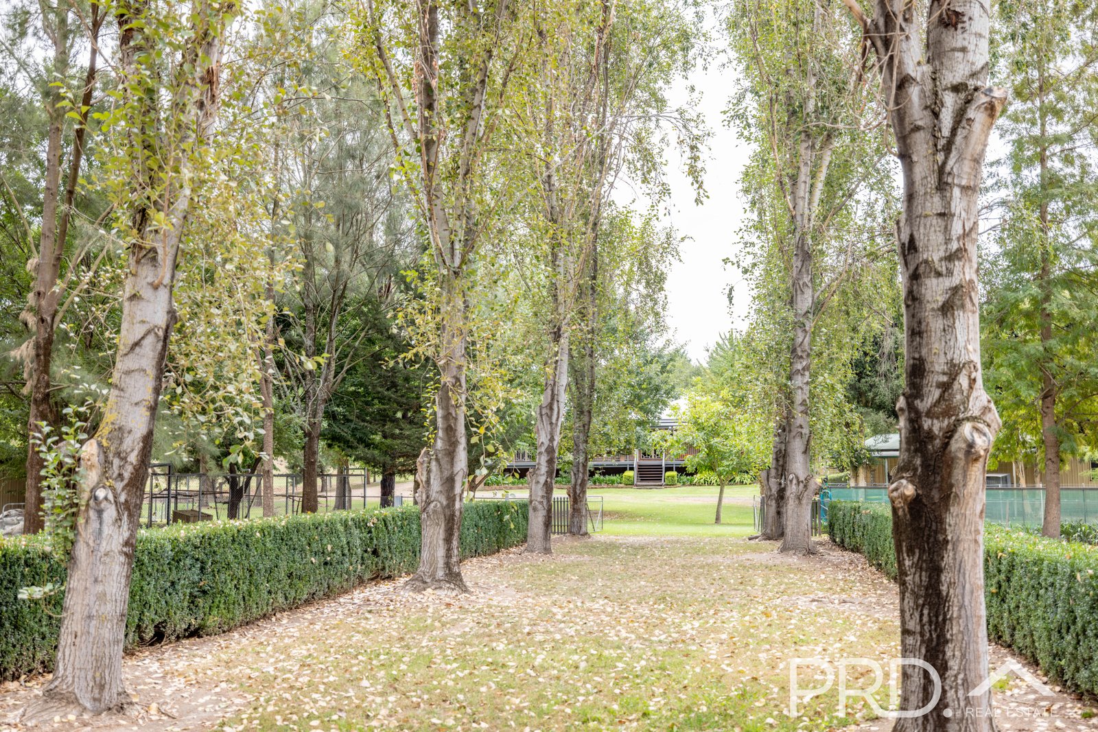 21 Cromwell Street ADELONG 22