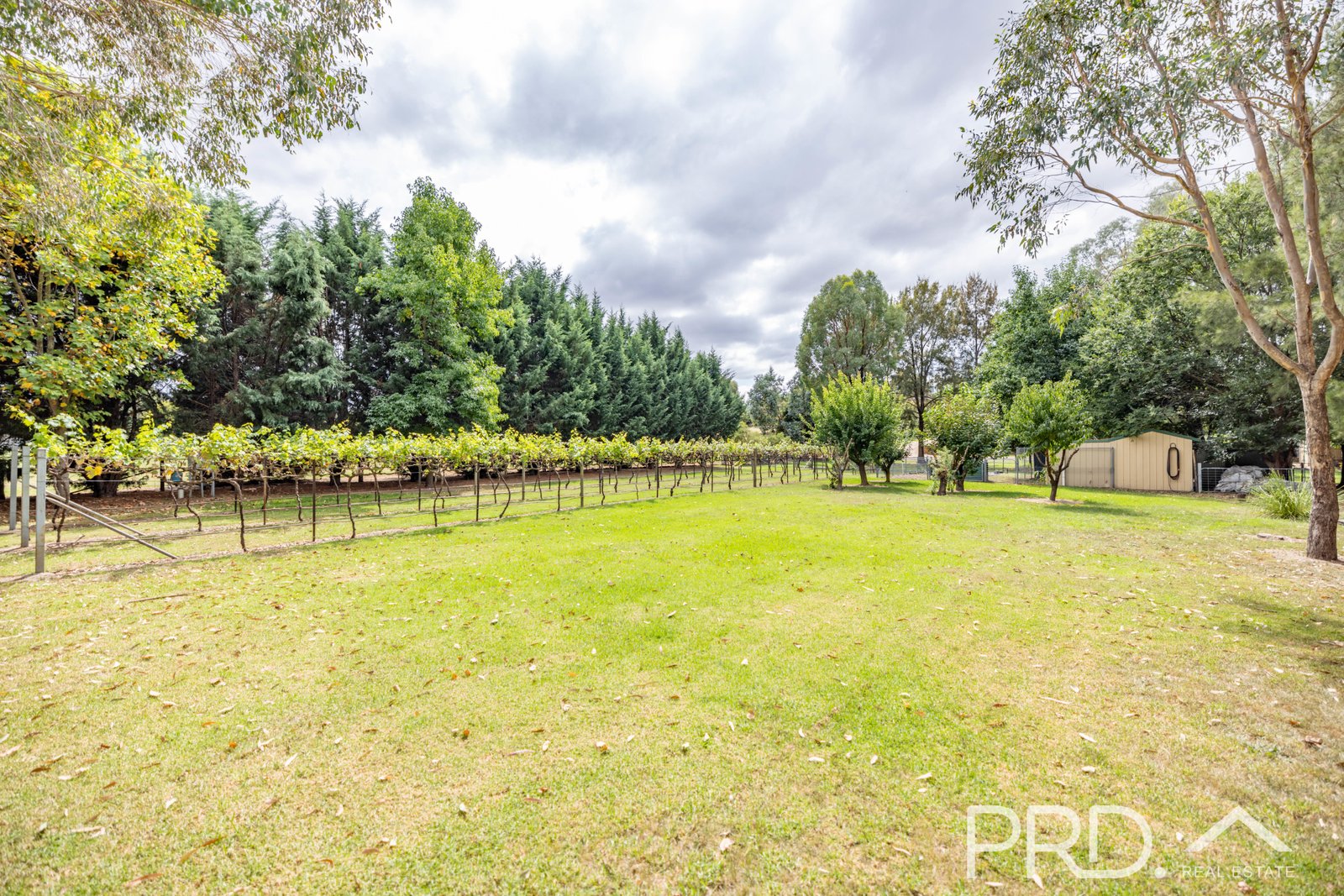 21 Cromwell Street ADELONG 25