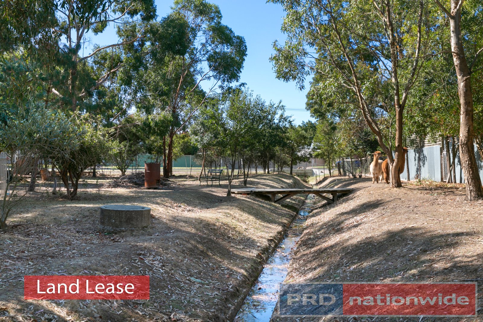 21 Cummins Street BEAUFORT 14