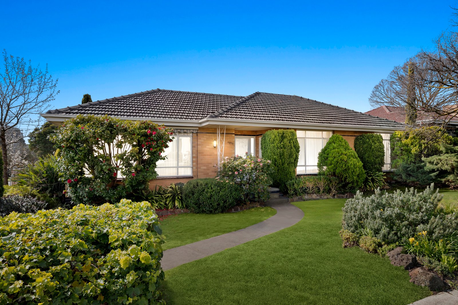 Gallery: 21 Emerald Street