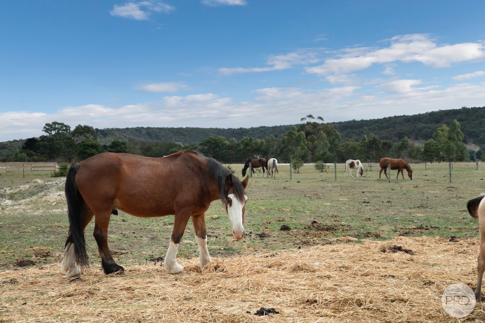 21 Exchequer Road CAPE CLEAR 16