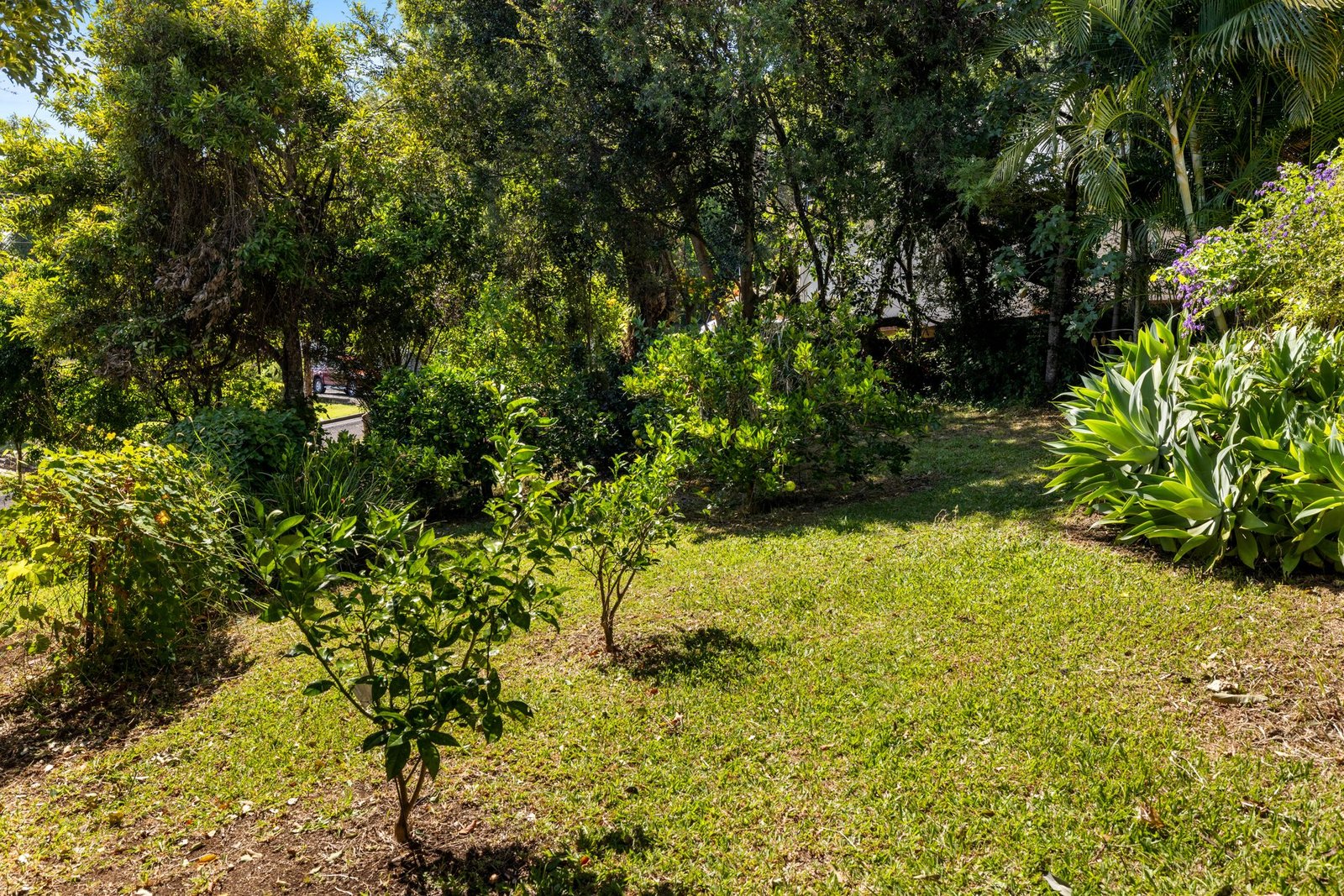 21 Fairy Street KYOGLE 17