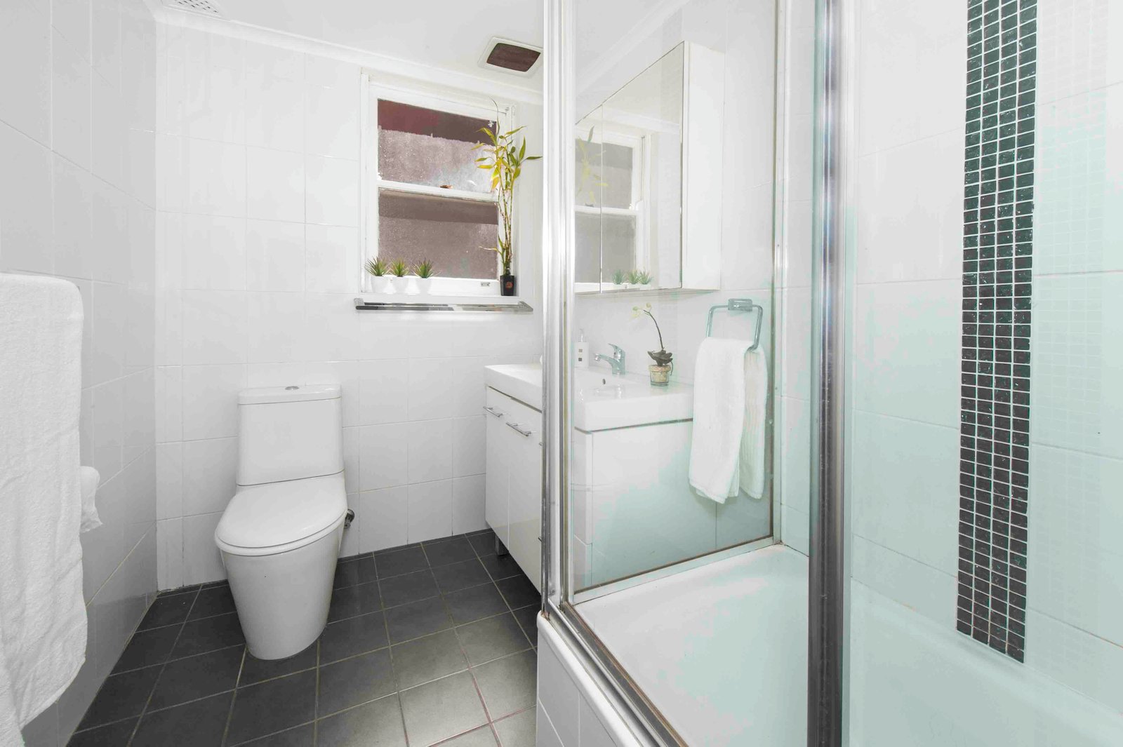 2/1 Flack Avenue HILLSDALE 5