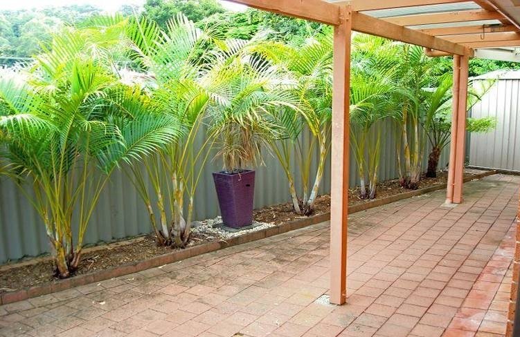 2/1 Guyra Avenue BURLEIGH HEADS 4