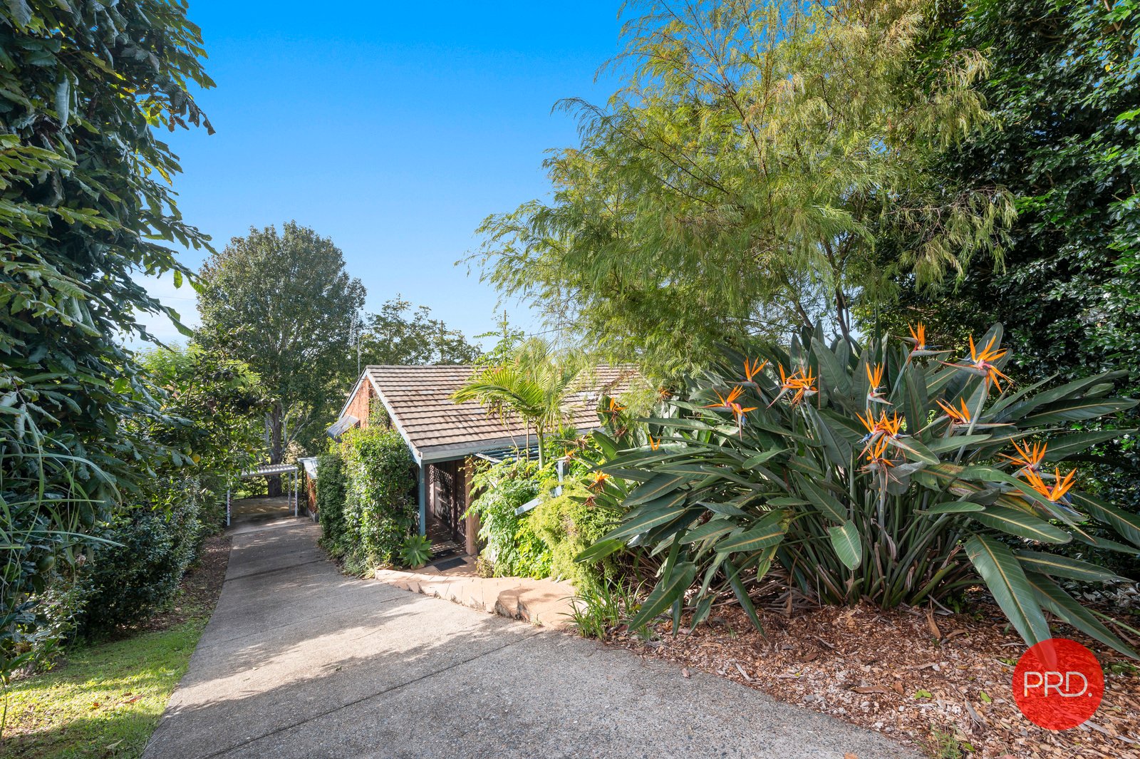 21 Hannaford Place COFFS HARBOUR 3