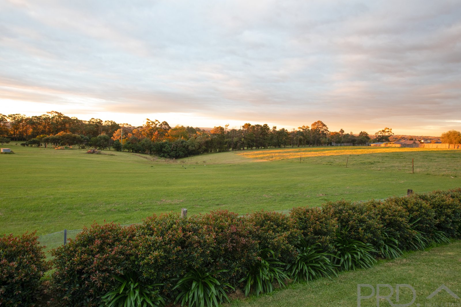 21 James Leslie Drive GILLIESTON HEIGHTS 26