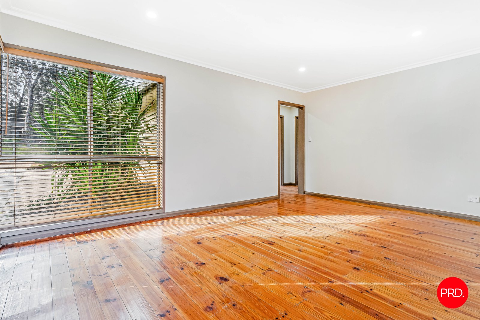 21 John Street WHITE HILLS 6