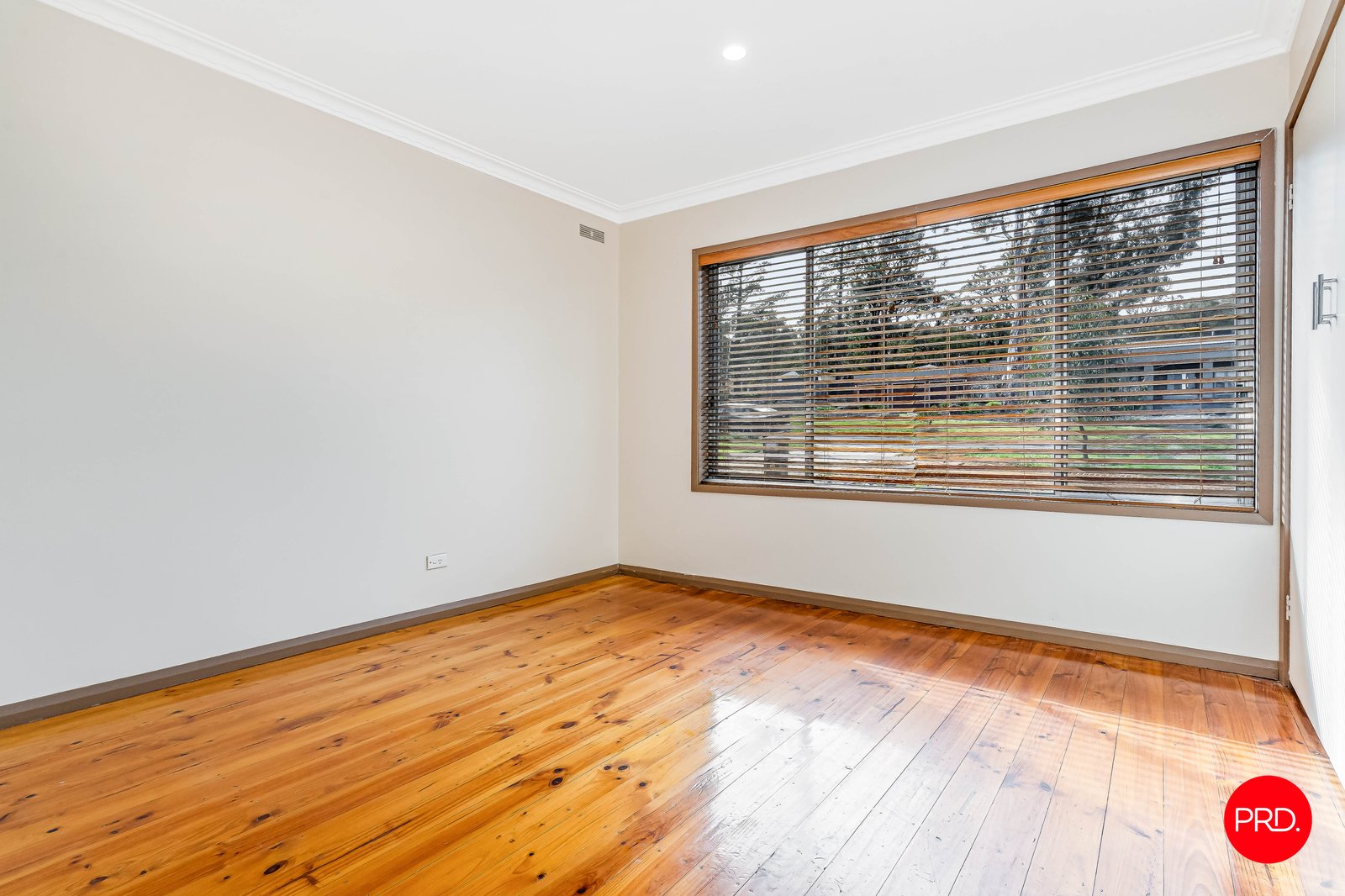 21 John Street WHITE HILLS 7