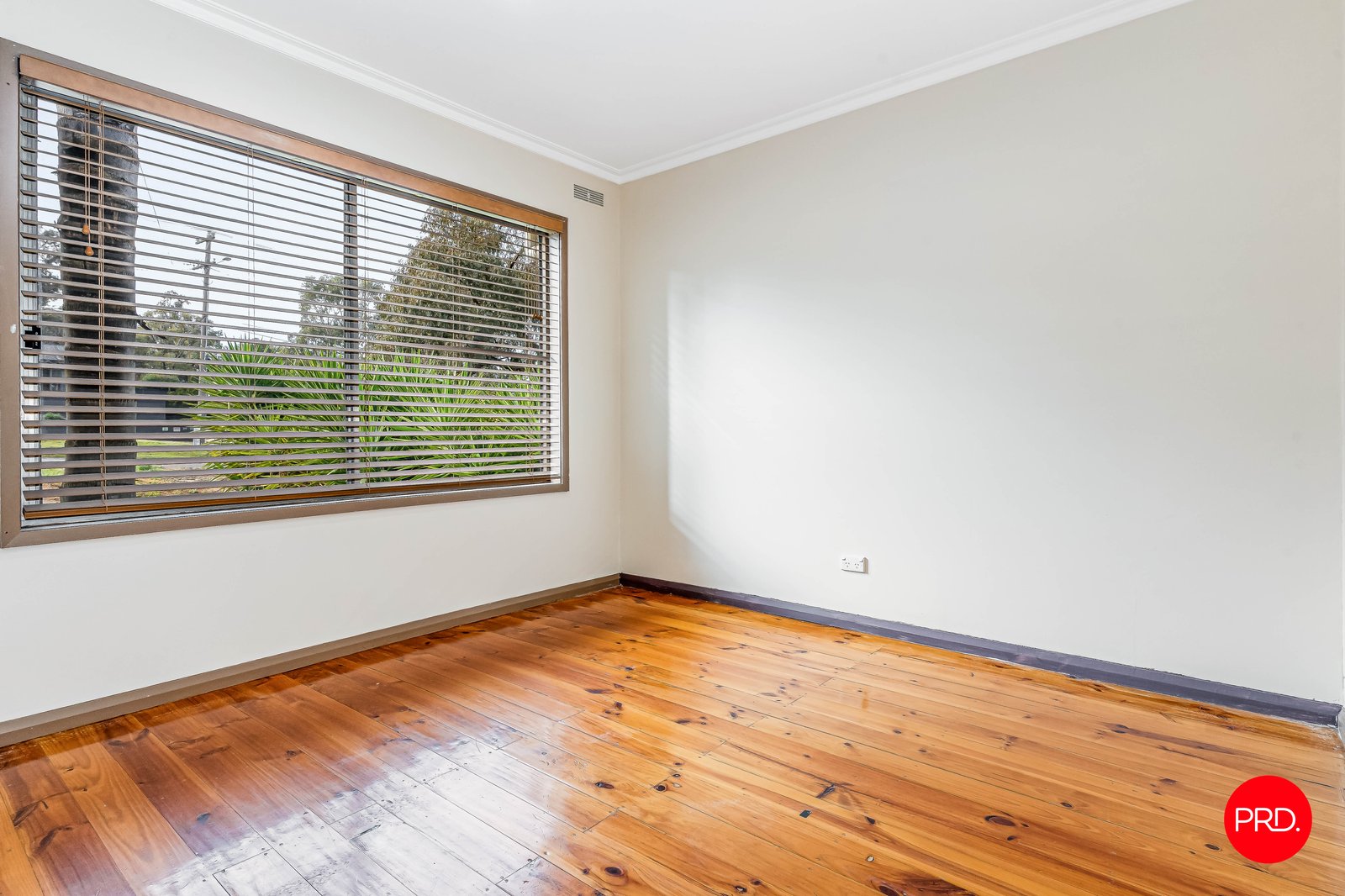21 John Street WHITE HILLS 8