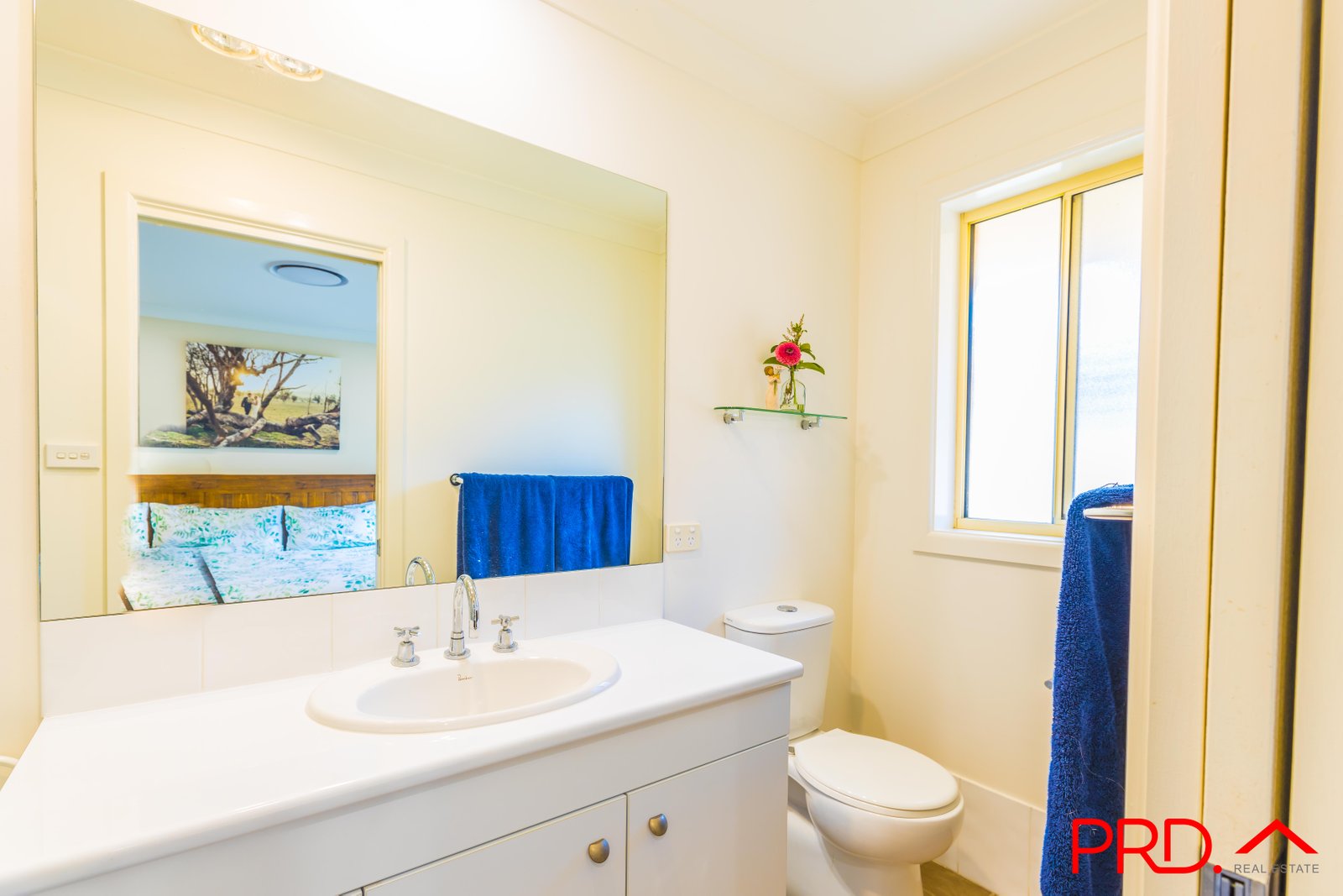 21 Karenvar Avenue TAMWORTH 12