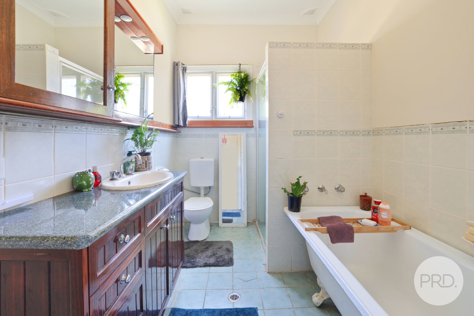 21 Learmonth Street WILLOW TREE 14