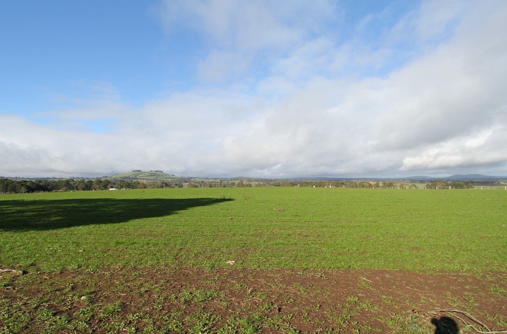 21 Lone Hand Road ALLENDALE 1