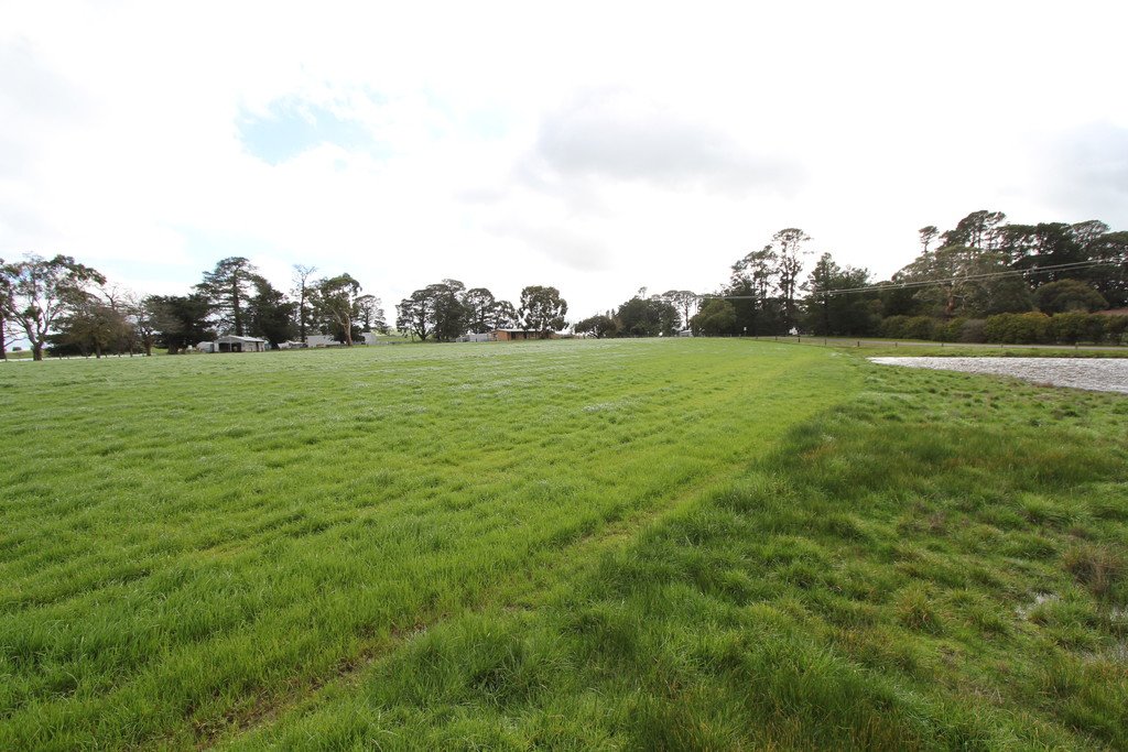 21 Lone Hand Road ALLENDALE 11
