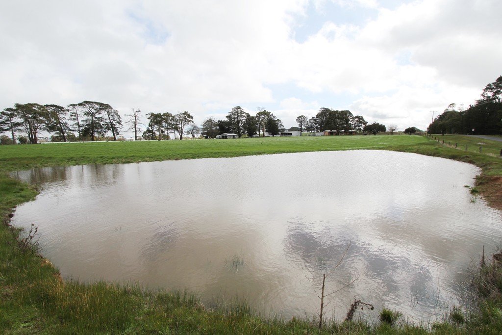 21 Lone Hand Road ALLENDALE 12