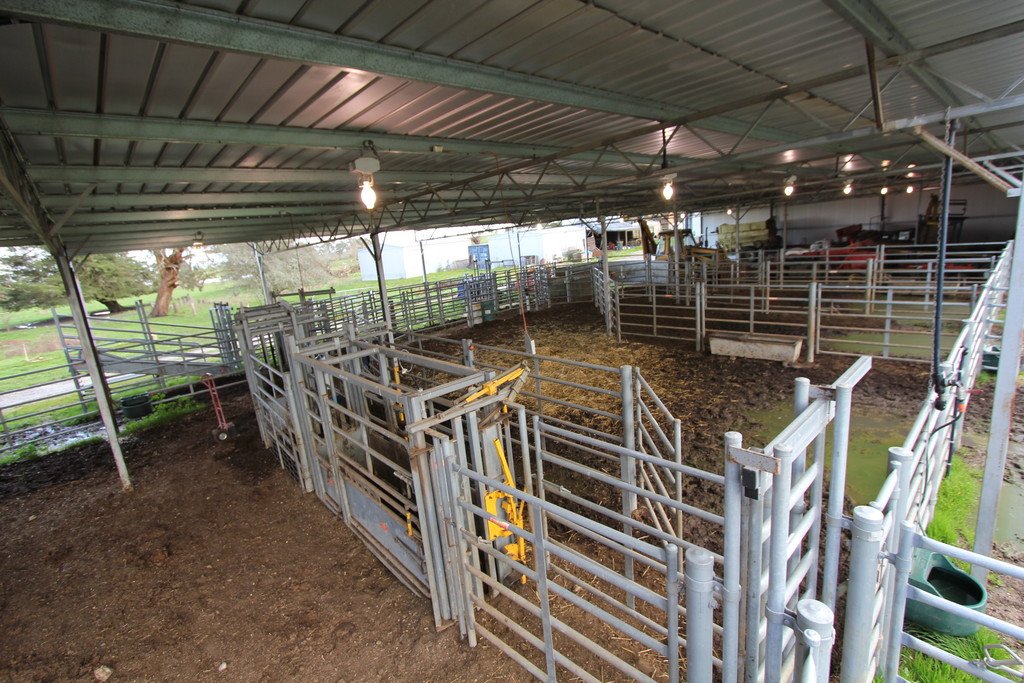 21 Lone Hand Road ALLENDALE 15