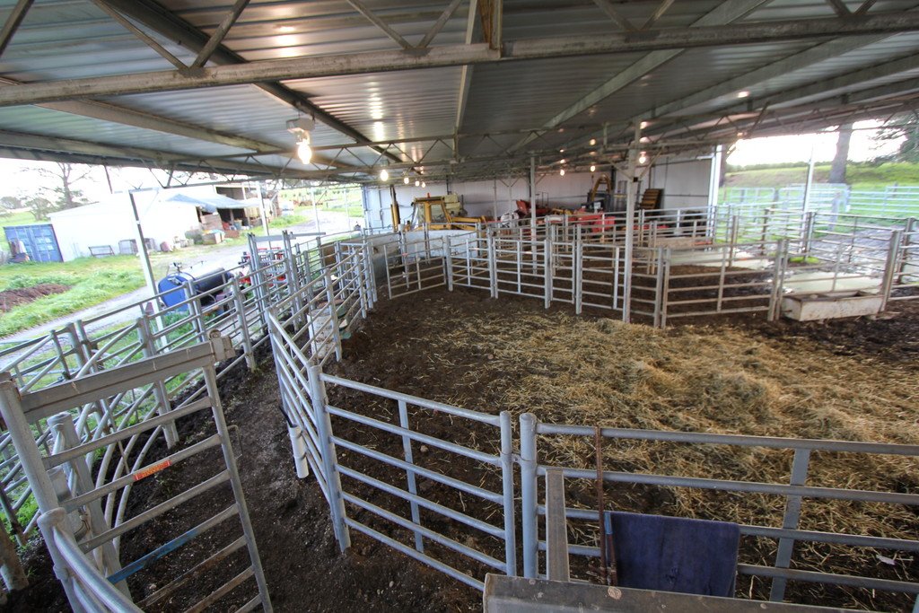 21 Lone Hand Road ALLENDALE 16