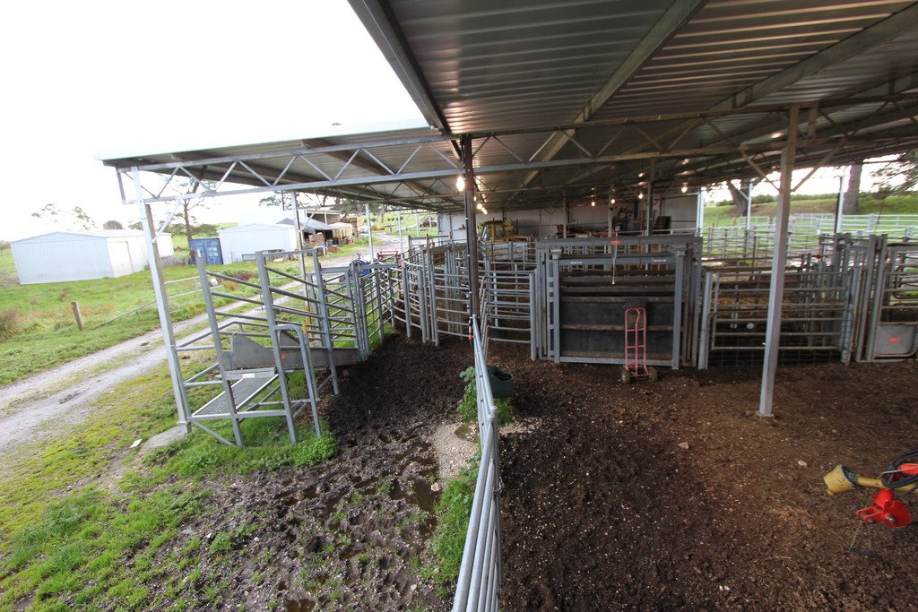 21 Lone Hand Road ALLENDALE 19