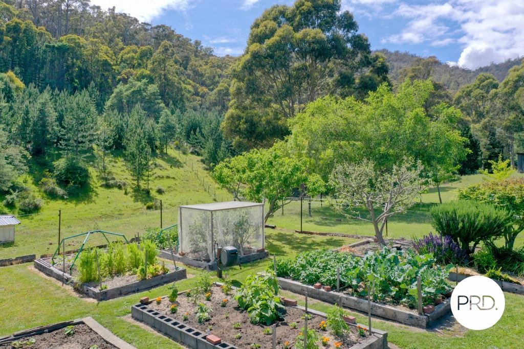 21 Mount Charles Road LACHLAN 29