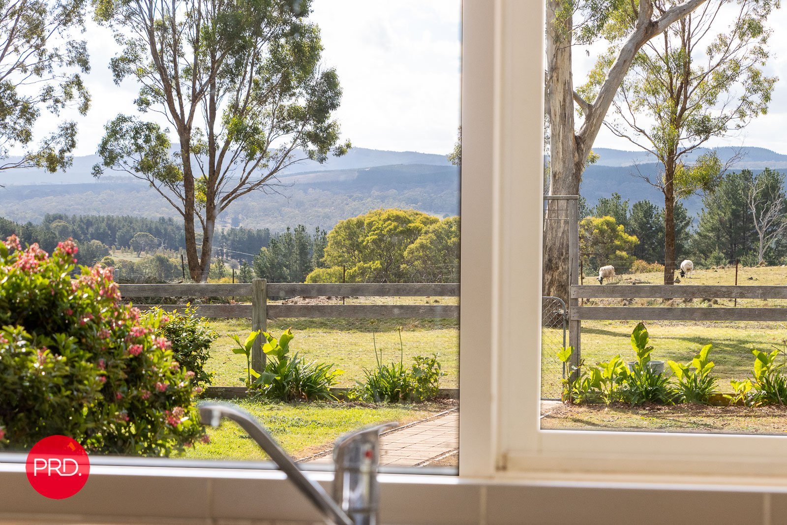 21 O'Hanlon Place CARWOOLA 8