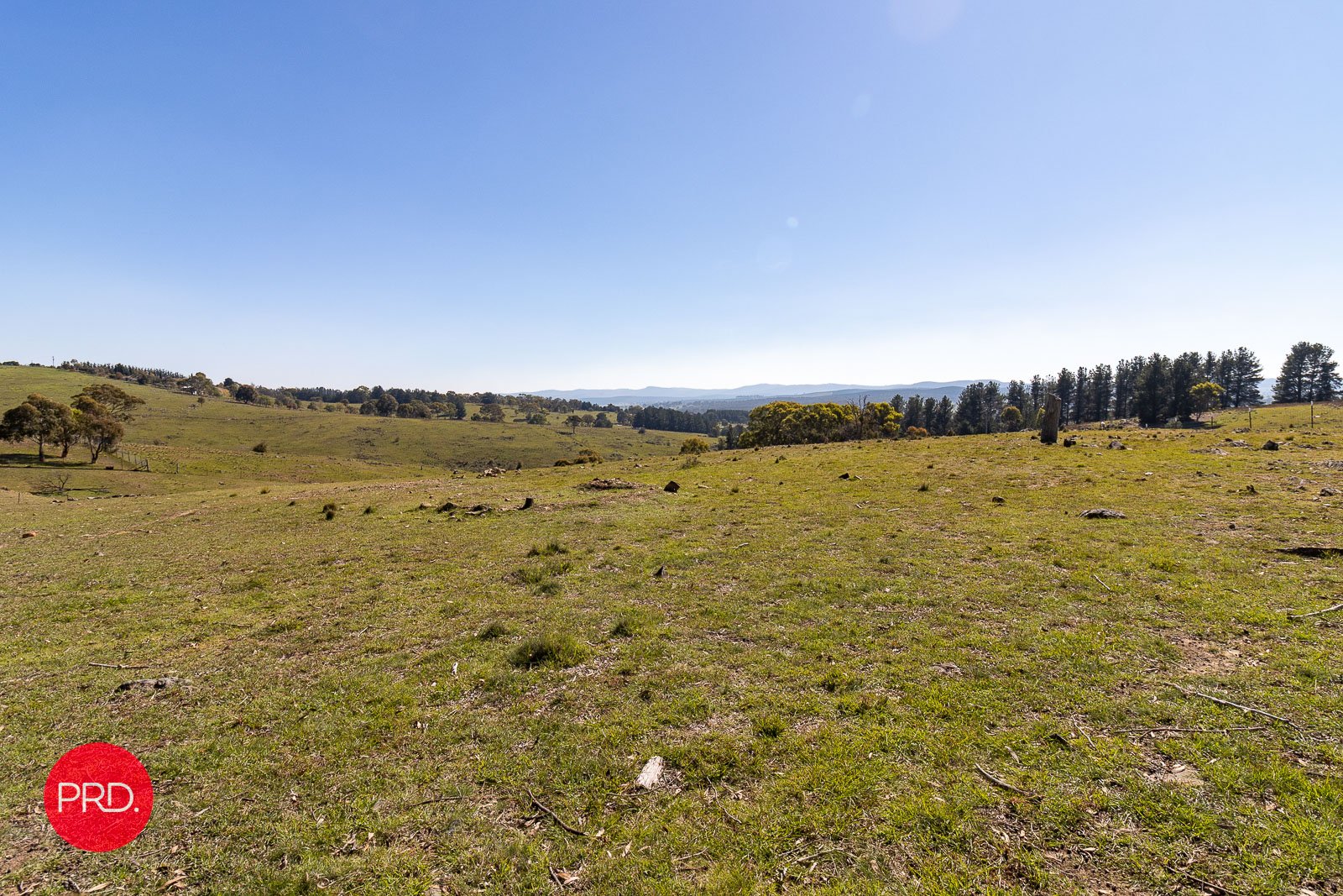21 O'Hanlon Place CARWOOLA 35