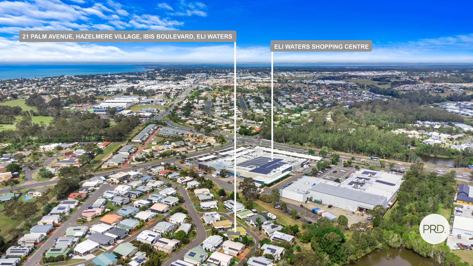 21 Palm Avenue ELI WATERS 17