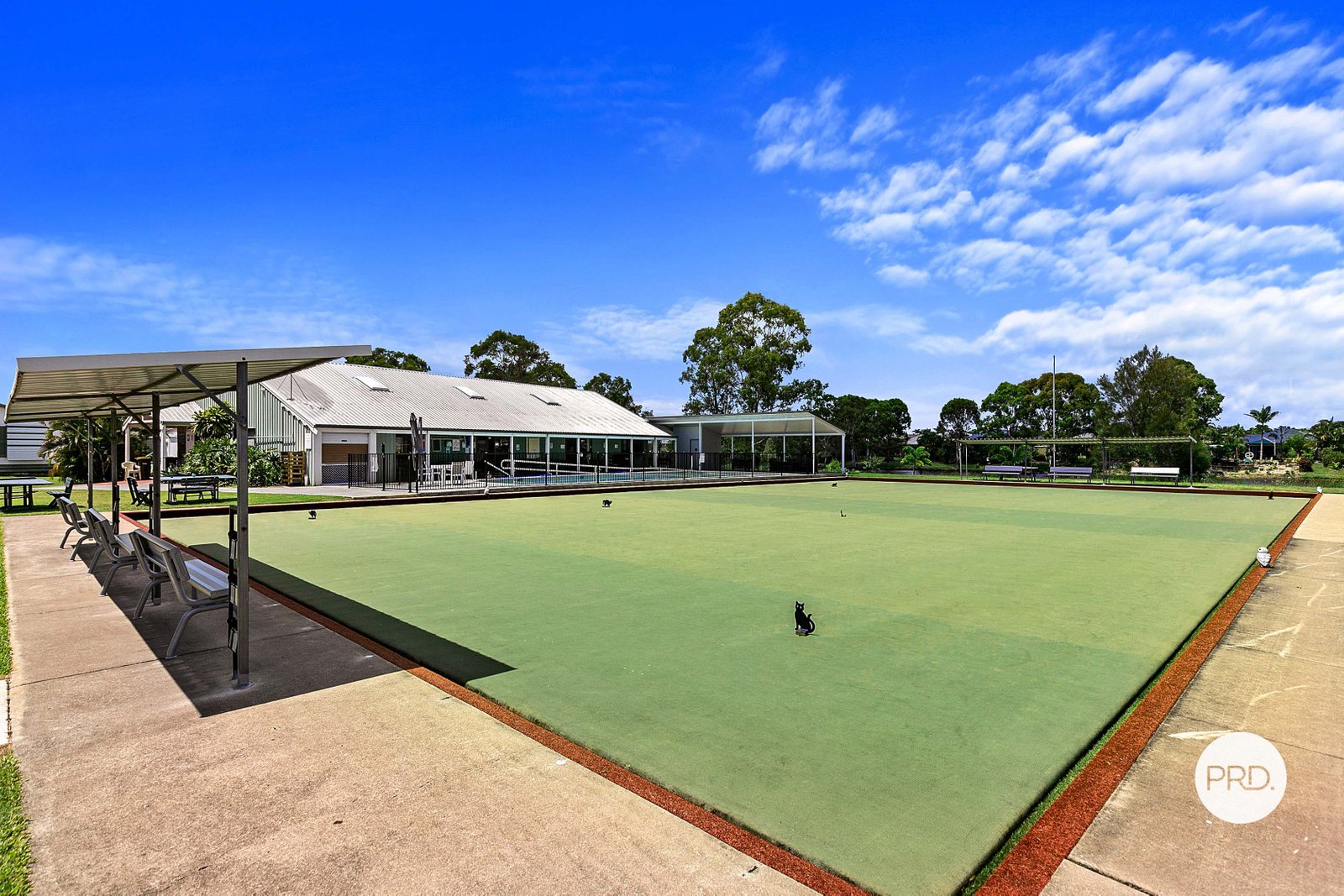 21 Palm Avenue ELI WATERS 22