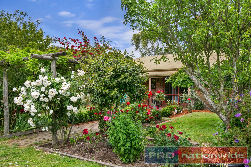 21 Portland Flat Road GORDON 2