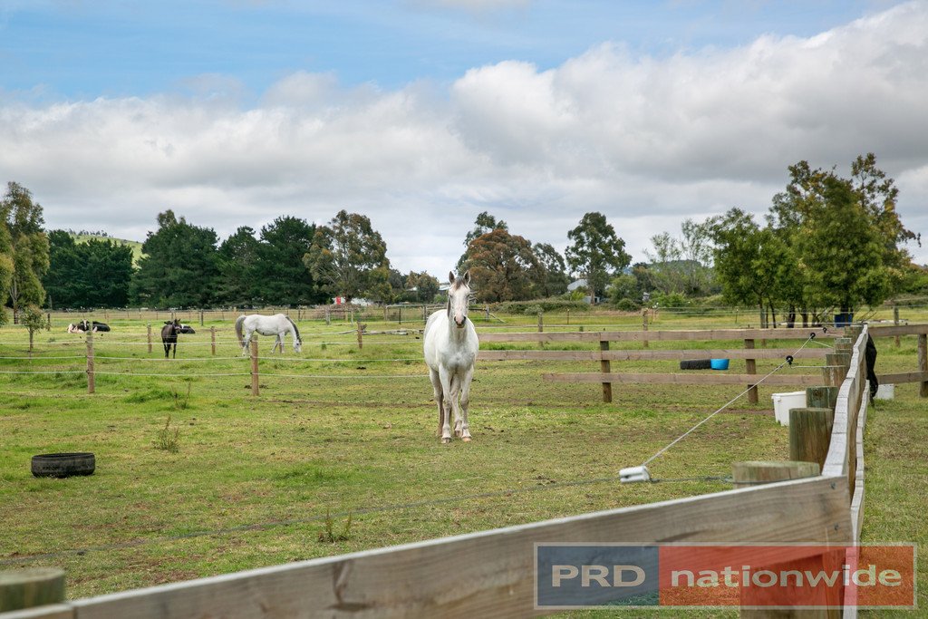 21 Portland Flat Road GORDON 18