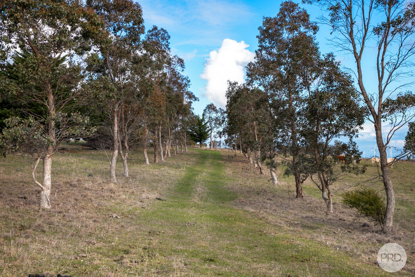 21 Russells Road CORINDHAP 6