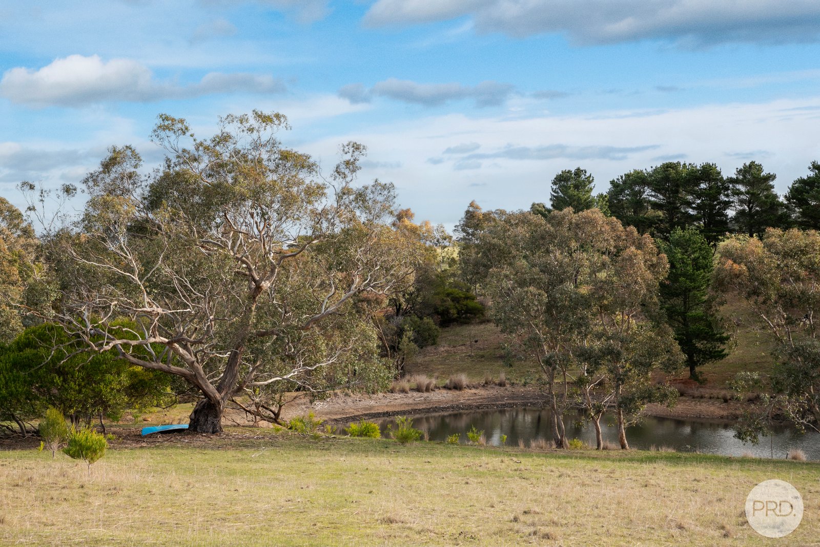 21 Russells Road CORINDHAP 8