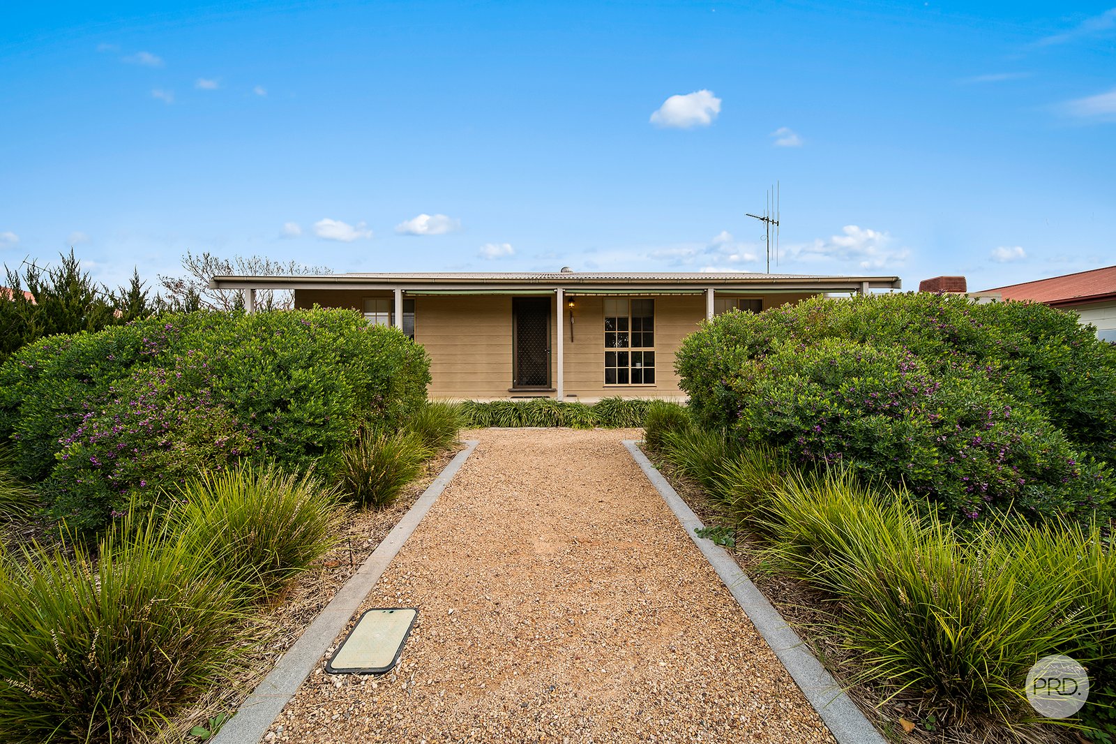 21 Saade Street EPSOM 1