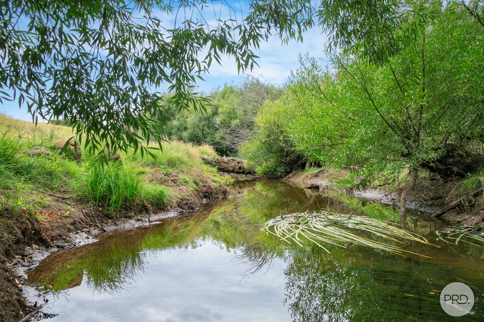 21 Shea Road NEWLYN NORTH 8