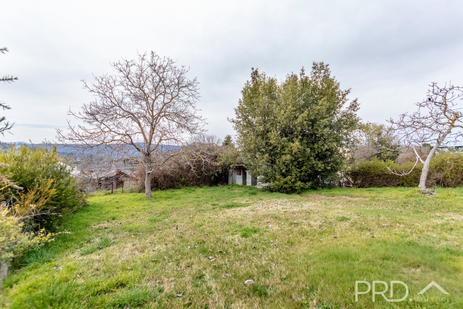 21 Sunnyside Avenue BATLOW 11
