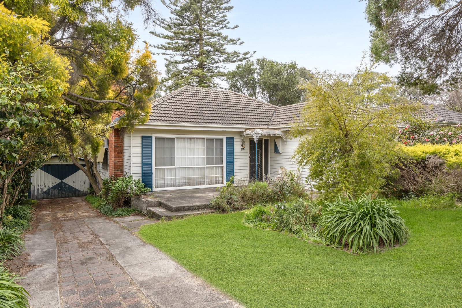 Gallery: 21 Therese Avenue