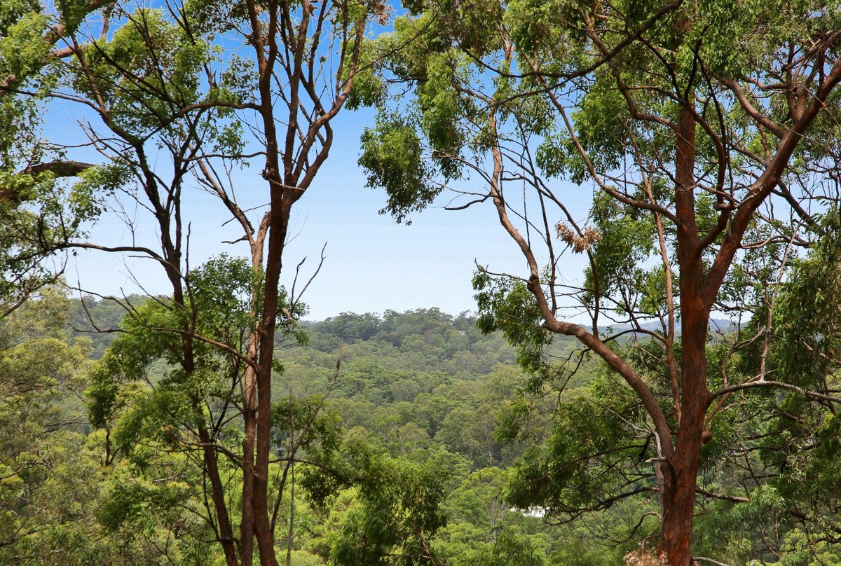 21 Thursday Drive Tallebudgera Valley 8