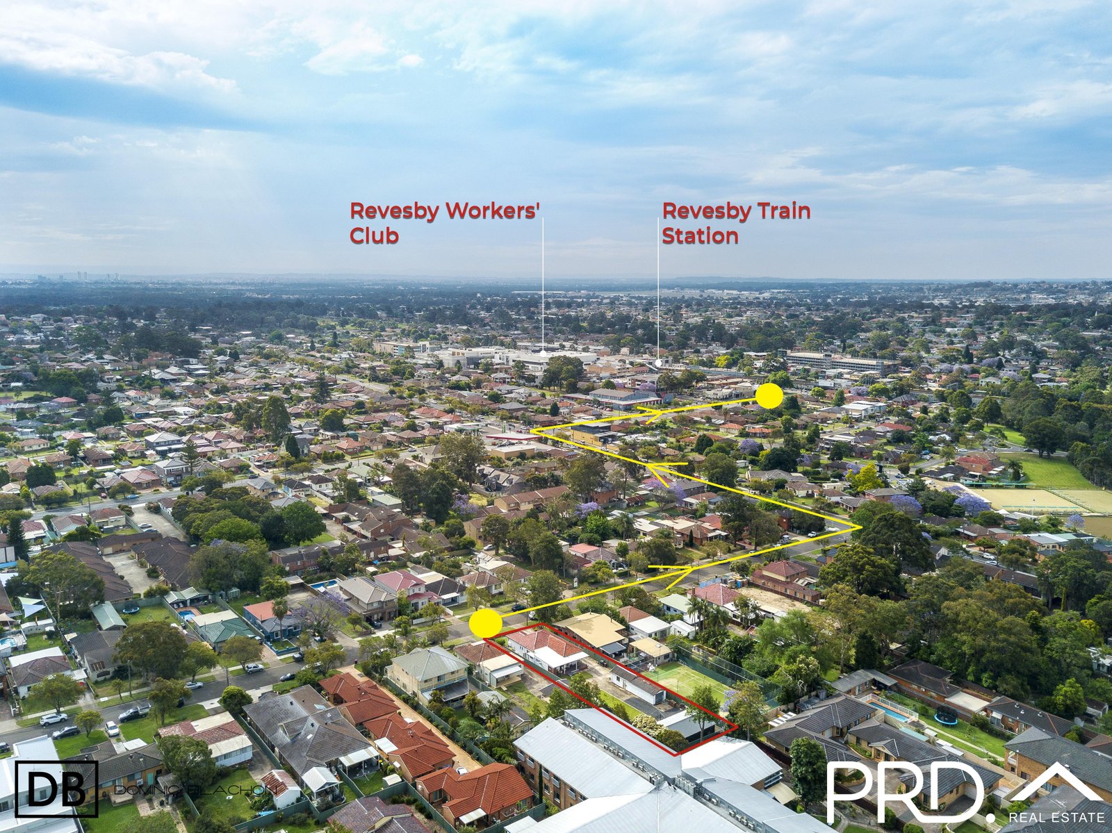 21 Vega Street REVESBY 11