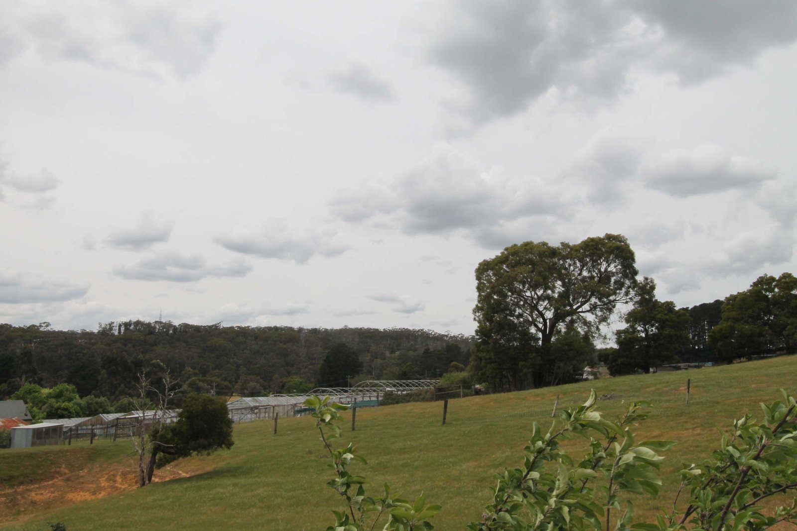 2/10 Chiara Court BROWN HILL 7